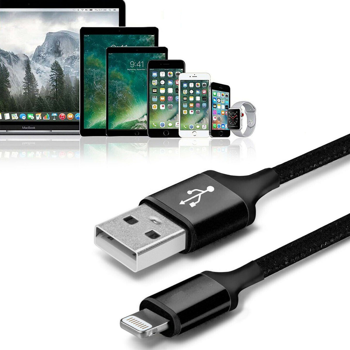 USB Lightning Fast Charger